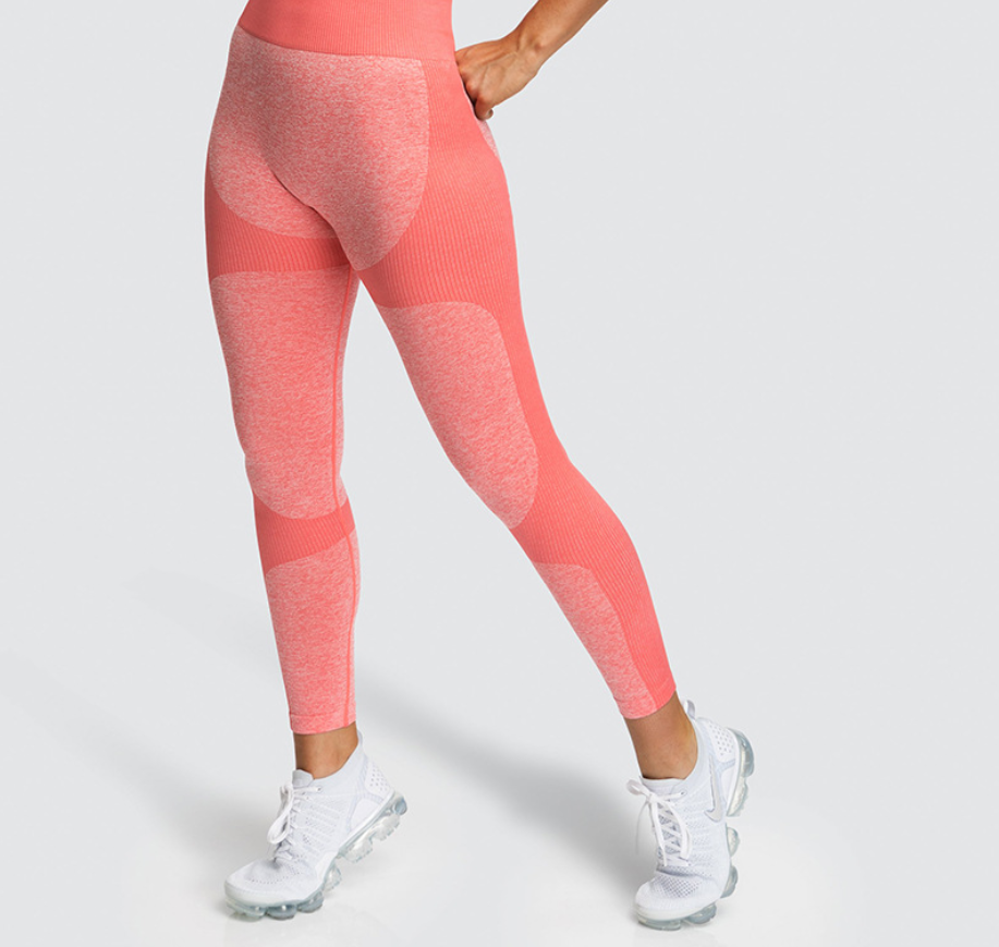 Seamless fitness Yoga Pants.